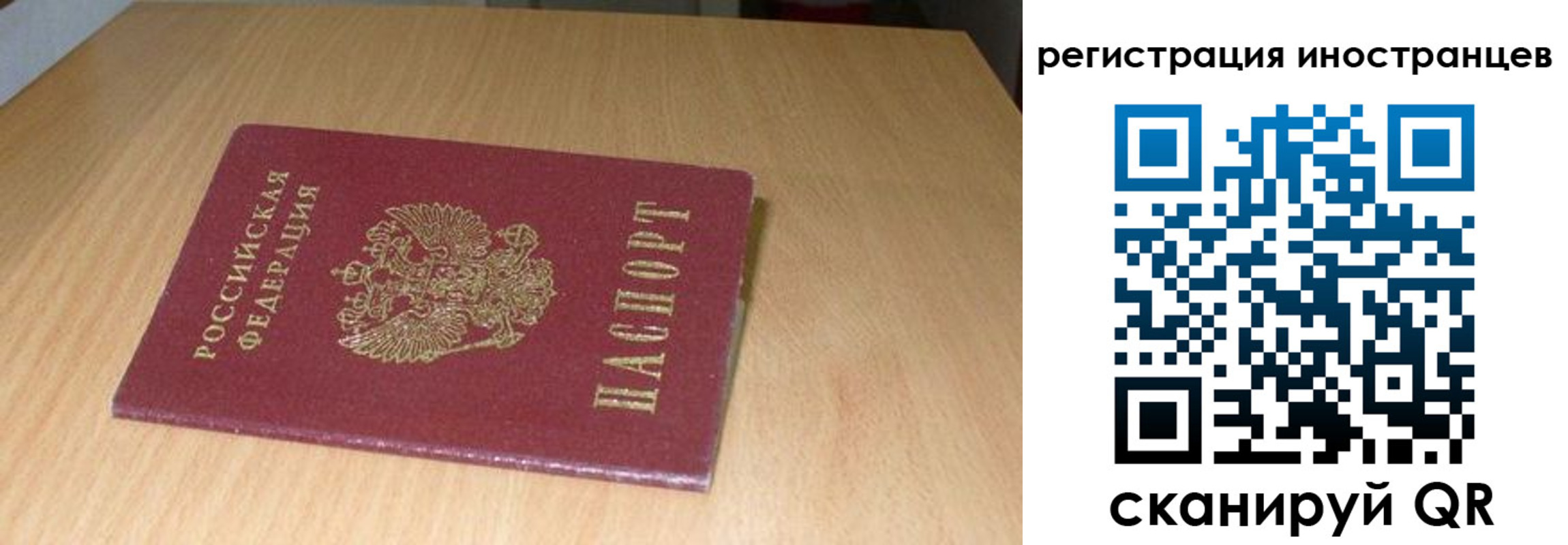 временная регистрация поиск в Видном